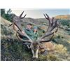 Image 1 : 6-day / 7-night 2x1 red stag hunt for two hunters