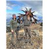Image 4 : 6-day / 7-night 2x1 red stag hunt for two hunters