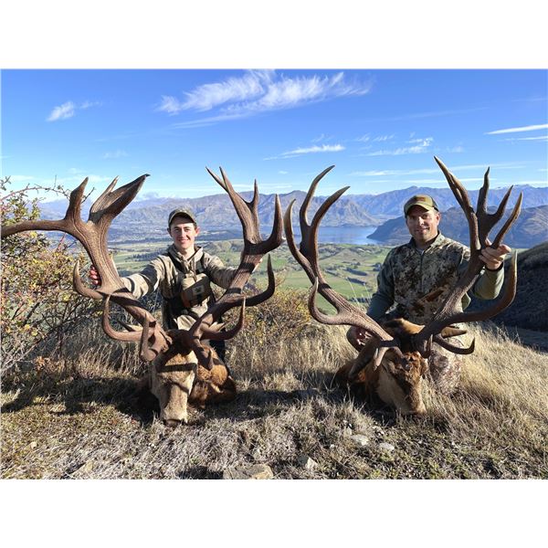 6-day/7-night 2x1 red stag & tahr hunt