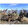 Image 1 : 6-day/7-night 2x1 red stag & tahr hunt