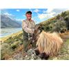 Image 4 : 6-day/7-night 2x1 red stag & tahr hunt