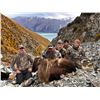 Image 7 : 6-day/7-night 2x1 red stag & tahr hunt