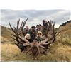 Image 2 : Bucket List 6-day / 7-night 3 red stags 1 tahr, 1 chamois all day rates for 5 hunters and 5 non h