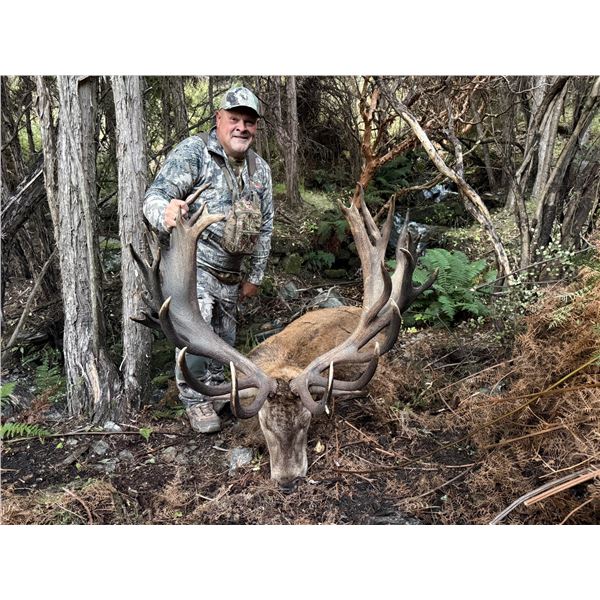500 class red stag hunt for 1 hunter 1 observer 2027