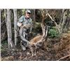 Image 1 : 500 class red stag hunt for 1 hunter 1 observer 2027