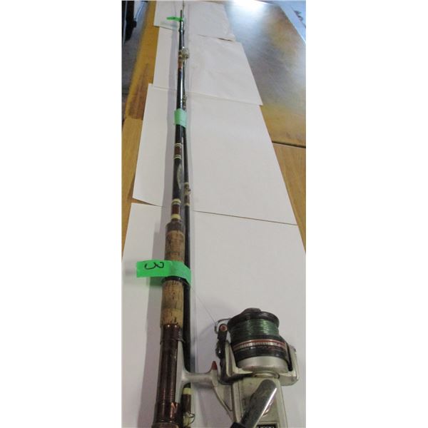 FISHING ROD & REEL