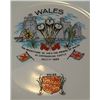 Image 2 : Wales Plate
