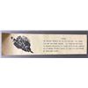 Image 5 : Framed Gyotaku Fish Print Artwork by Mike Mansfield