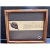 Image 2 : Michael Hemperly Gyotaku Fish Print With Wood Art Sign