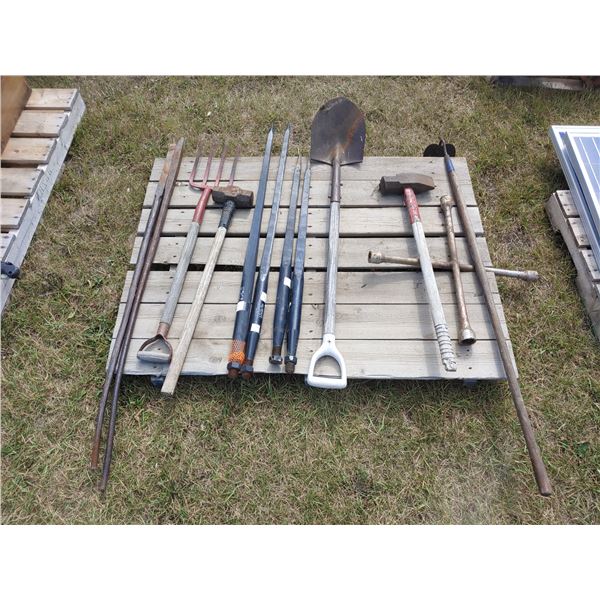 Assortment of Tools