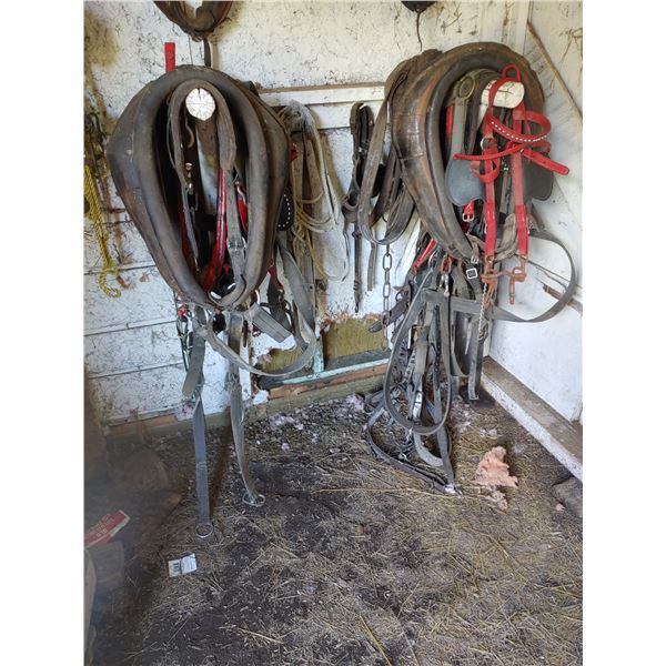 2 horse harnesses & collars