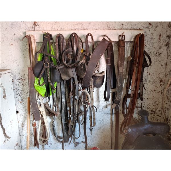 Large assortment of tack