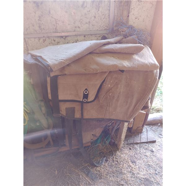 Horse Blankets