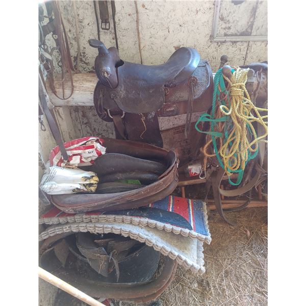 Saddle & Harness