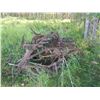 Image 2 : Cultivator (In Field)