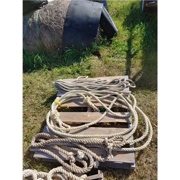 Assortment of tow rope