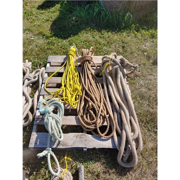 Set of 1 1/2'' nylon rope