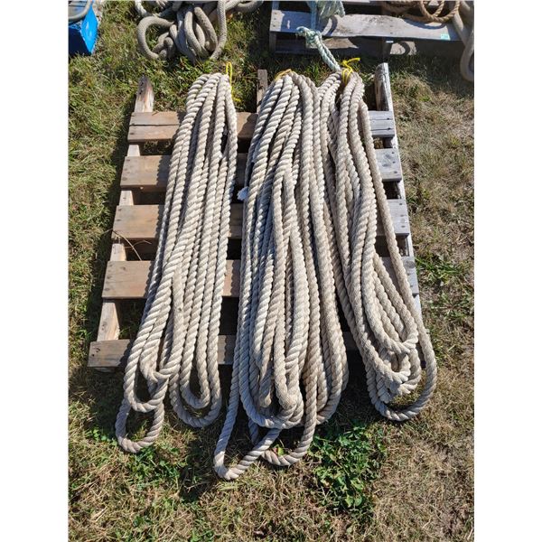 3 nylon ropes