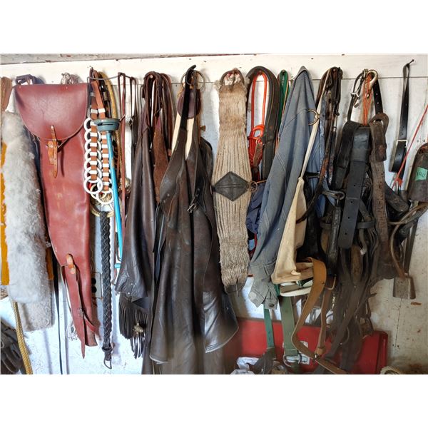 Assortment of chaps, leather gun case, & bridles