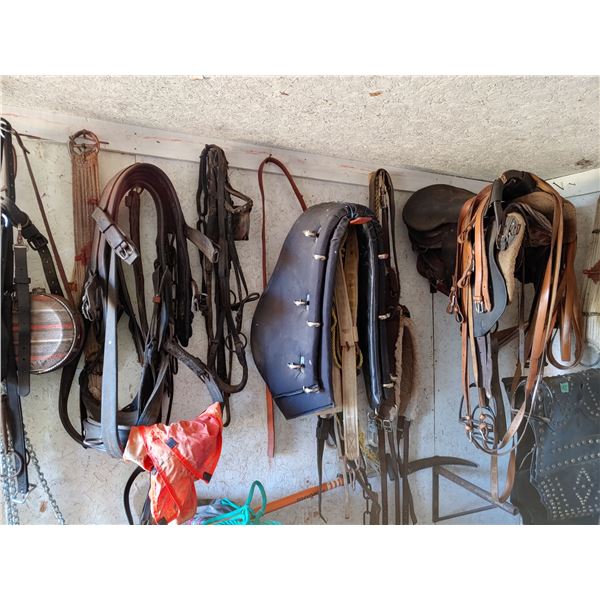 2 English saddles, &  Misc. horse tack with water canteen