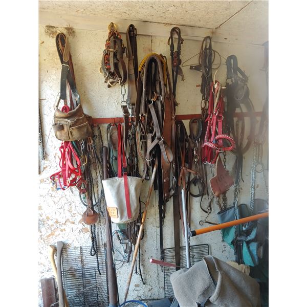 Misc. horse tack