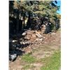 Image 1 : Firewood Pile