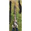 Image 3 : Hydraulic actuated auger