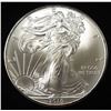 Image 1 : 2010 AMERICAN SILVER EAGLE
