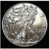 Image 1 : 2019 AMERICAN SILVER EAGLE