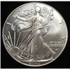 Image 1 : 2022 AMERICAN SILVER EAGLE