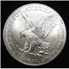 Image 2 : 2023 AMERICAN SILVER EAGLE