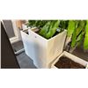 Image 4 : LARGE LOT OF POTTERY PLANTER BOXES
