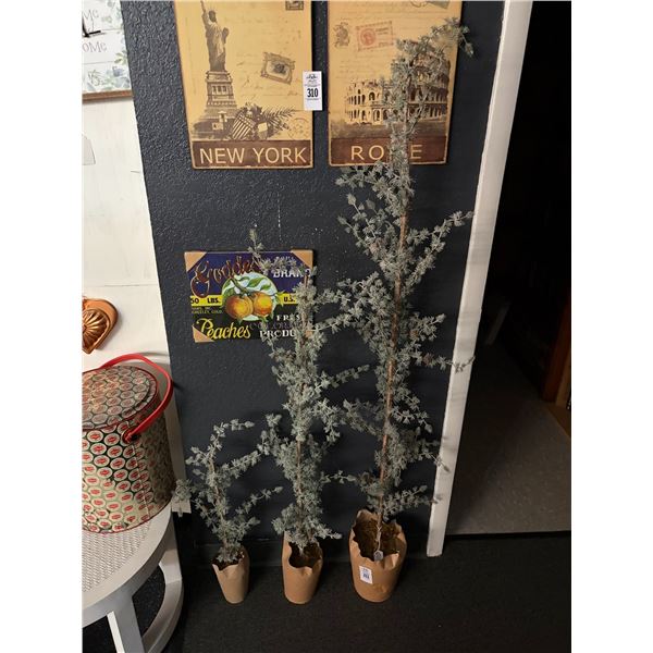 Silk Potted Graduating Trees Set - 3