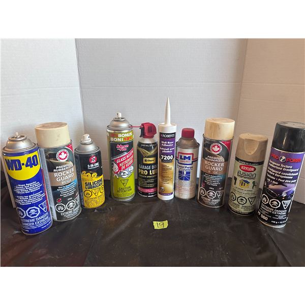Lot of garage essentials, paints and cleaners