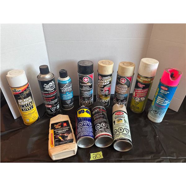 Lot of garage essentials, paints and cleaners