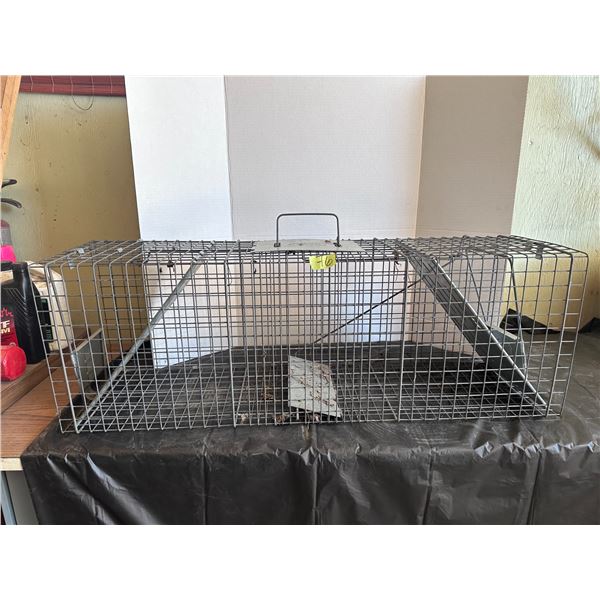 Animial live trap