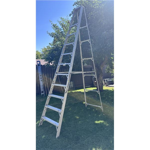Folding Ladder