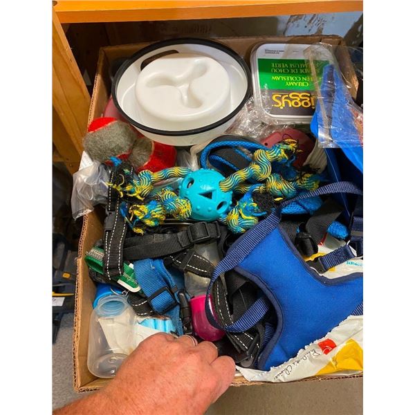 BOX LOT OF DOG TOYS, COLLARS, TRAINING ACCESSORIES