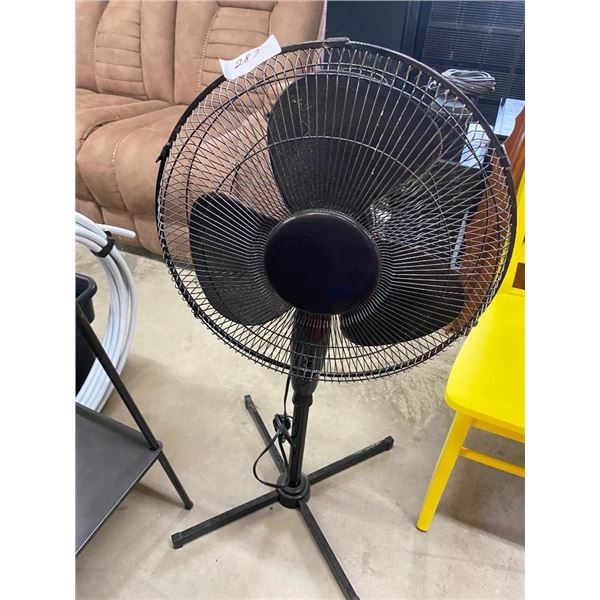 FAN