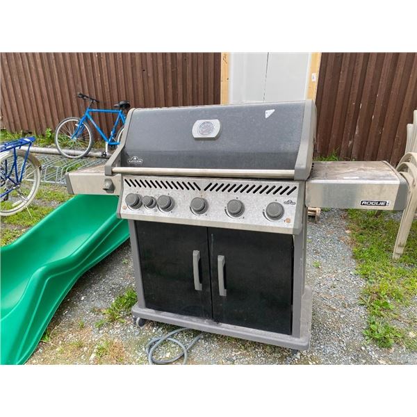 NAPOLEAN NQ BBQâ€¦. LITTLE ROUGH