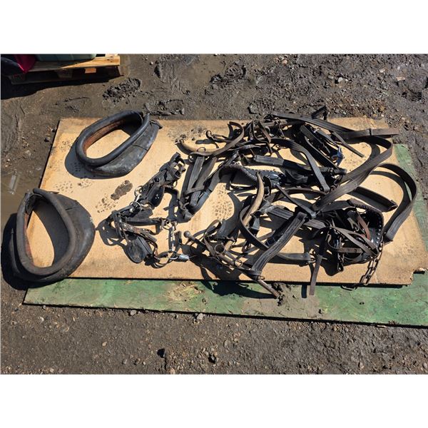 Set of large horse harness, comes with bridles, collars, Heins- approx 20" collars