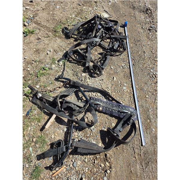 Sets of pony harnesses comes with Heins