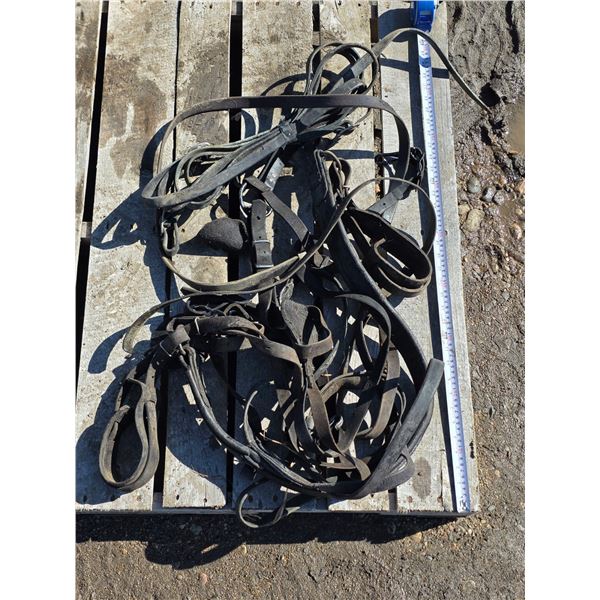 Single Pony Harness