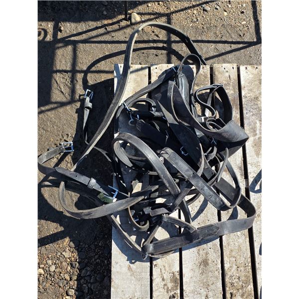 Single Pony Harness