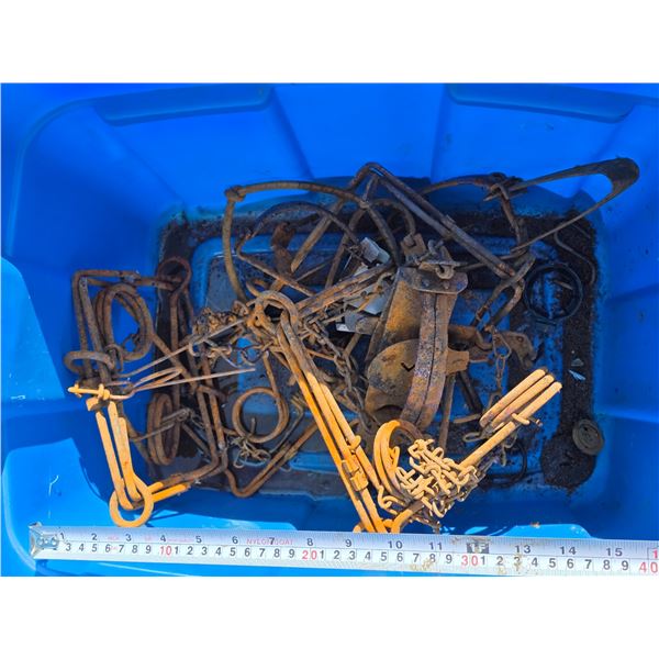 Conibear Traps and Tote