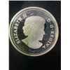Image 2 : 2013 Canada .9999 Fine Silver $20 Bathygnathus Borealis Coin 31g