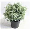 Image 1 : ARTIFICIAL FLOWER FOR DESK