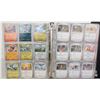 Image 1 : BINDER POKEMON CARDS