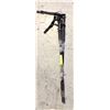 Image 1 : PAIR OF MOON LANCER WALKING POLES