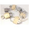 Image 1 : BAG WITH 6 LOCKS WITH KEYS